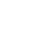flower2