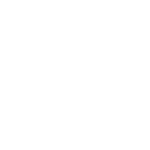 flower3