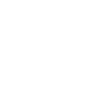 flower4