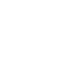flower5