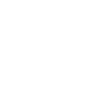 flower6